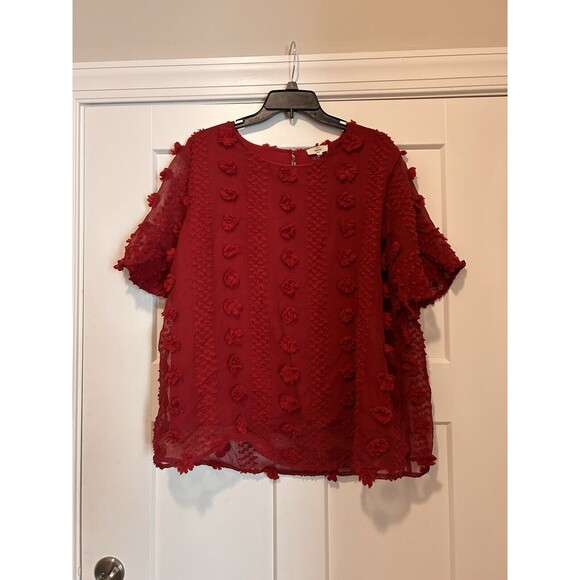 Entro Modest High Neck Lined Sheer Sleeve Blouse Top Dotted Swiss Boho Size Xl - Picture 1 of 5
